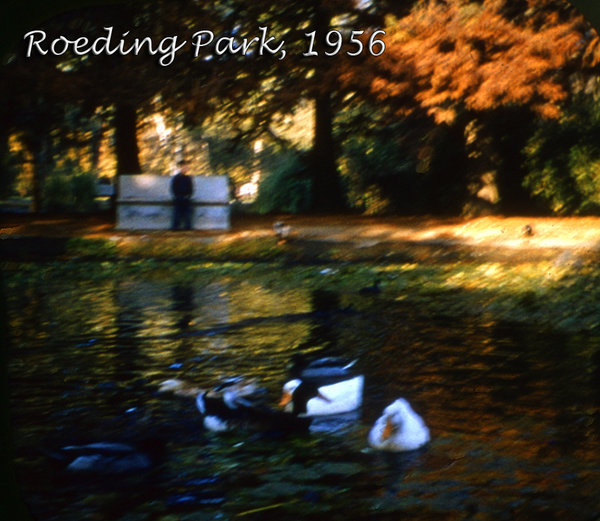 viewmaster  1956488; roeding park; 1956.jpg