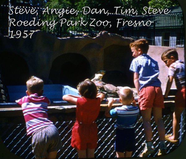 viewmaster  1957654; steve; mark; tim; dan; angie; fresno; roeding; zoo; 1957.jpg
