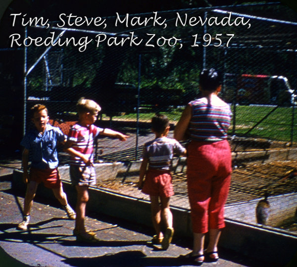 viewmaster  1957653; tim; steve; mark; nevada; fresno; roeding; zoo; 1957.jpg