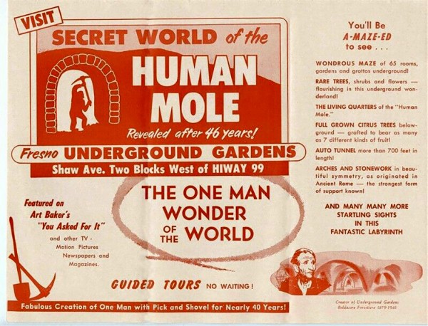 underground gardens 1950.jpg